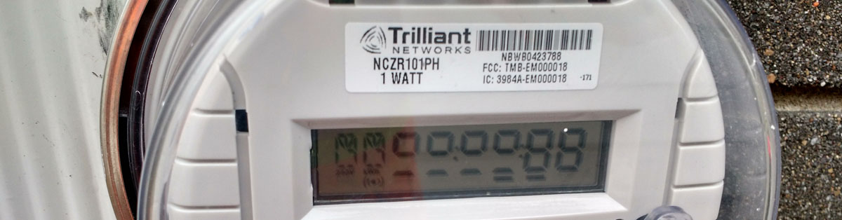 Electric Utility Meter
